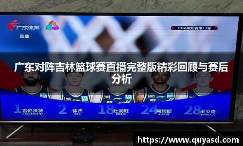 VSport官网入口vsport体育在线官网